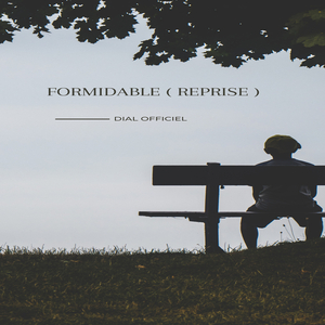 Formidable (Reprise)