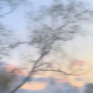 Бездействие дождя