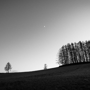 Boreal (Elanuel Edit)