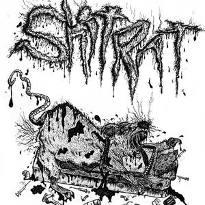 Full Of Shit