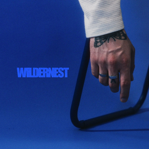 WILDERNEST