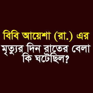 বিবি আয়েশা (রা.) এর মৃত্যুর দিন রাতের বেলা কি ঘটেছিলো?