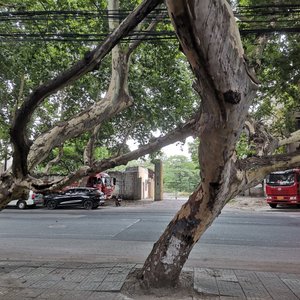 WAV文件_追光的翅膀_93815305666013186_1768912879540