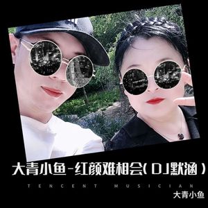 红颜难相会(DJ版)