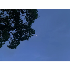 GIVE ME THE PAIN (Prod.ZHEN1x)