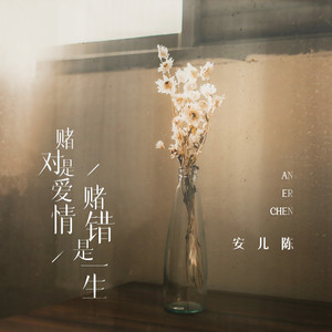 赌对是爱情赌错是一生 (DJ翊轩版)