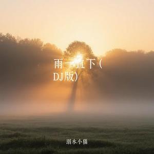 雨一直下  (DJ版) (Cover DJ 刀刀)