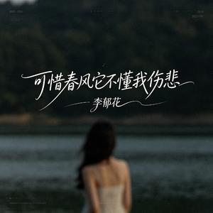 可惜春风它不懂我伤悲