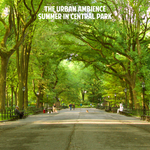 Summer in the City Park