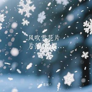 风吹雪花片片落 (Cover 沧桑小杰)