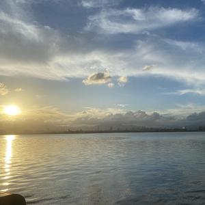 太平洋西岸的歌