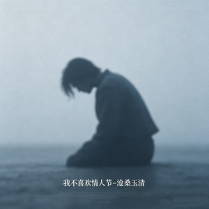 我不喜欢情人节