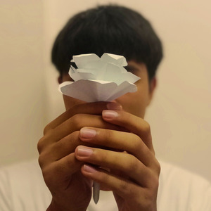 Bunga Ini