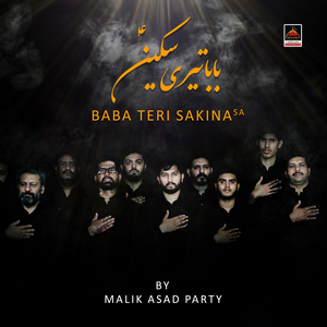 Tehreer E Nabi (Bibi Fatima)