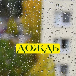 Дождь