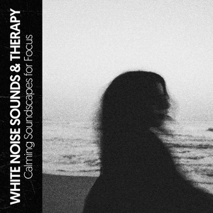 White Noise Laboratory