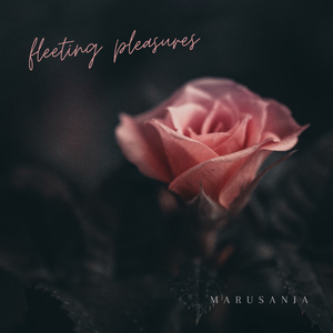 Fleeting Pleasures
