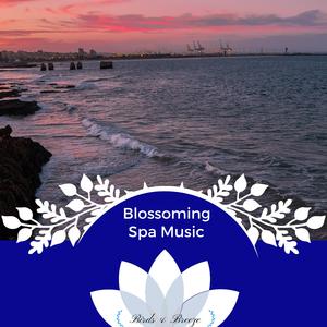 Rest Under The Stars