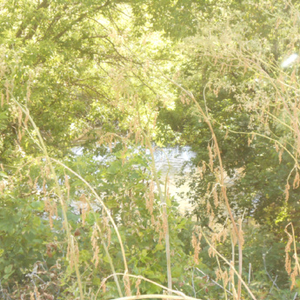 Information Super Highway