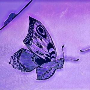 Renăscut (feat. GaBee)