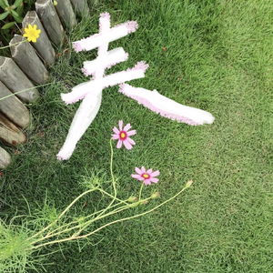 春天的小美好