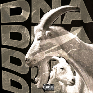 DNA DO BODE