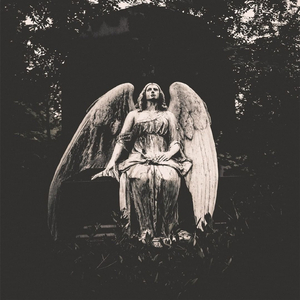 Left to die