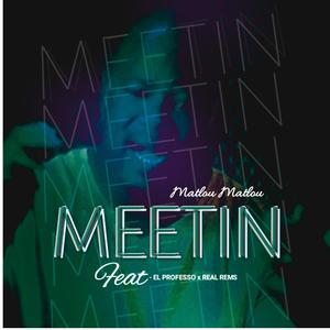 Meetin (feat. El Professo & Real Rems)