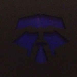 Dimensions of an Ancient Bird Race