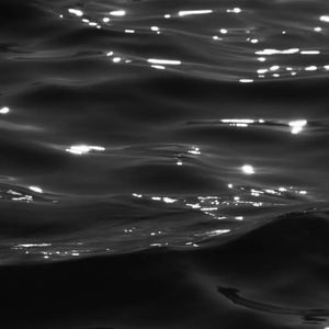 Flowers（Slowed Melody_ remix）