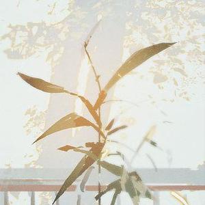 这一生关于你的风景