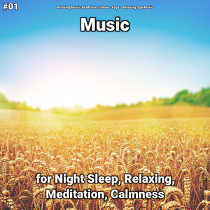 Relaxation Music, Pt. 33