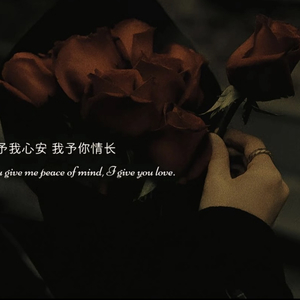 树与飞鸟的陪伴曲