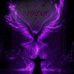 DJ COLOMBINHA X DJ BOLETIM 011 (feat. DJ BOLETIM 011)