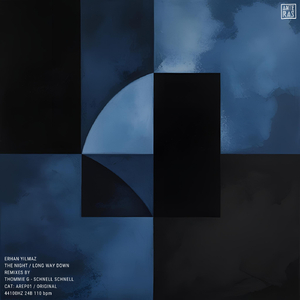 The Night / Long Way Down (Schnell Schnell Remix)