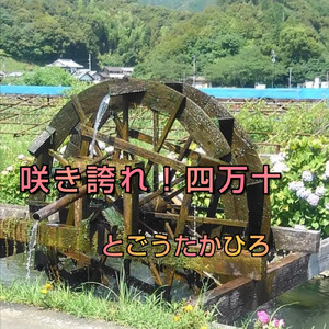 咲き誇れ！四万十