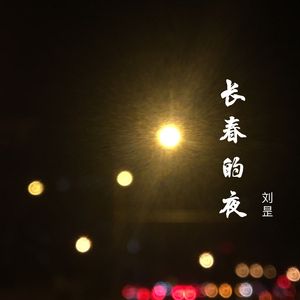 长春的夜