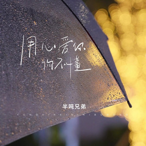 用心爱你你不懂