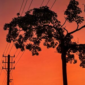 Whispers of the Wind