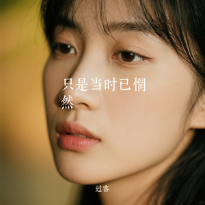 只是当时已惘然