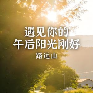 遇见你的午后阳光刚好