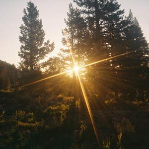 portal_07-05-25_03'36"