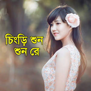 চিংড়ি শুন শুন রে