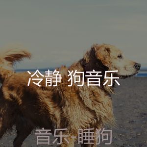 休闲装(音乐)