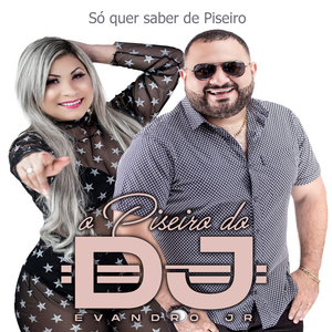 Só Quer Saber de Piseiro