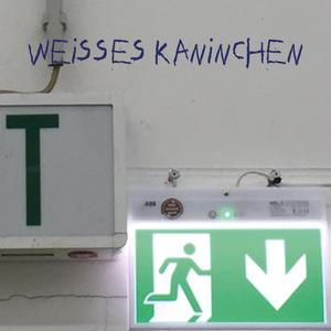 Weisses Kaninchen (feat. Bruder Bender & Tanya)