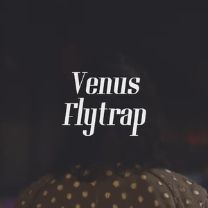Venus Flytrap / 捕蝇草
