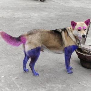 这女的不行（Prod by Simon Marcus)