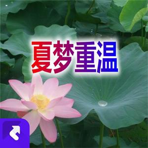 夏梦重温