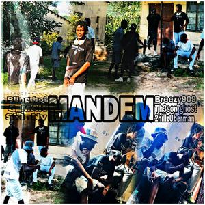 MANDEM (feat. 2hillzUberman, Bling boi, Breezy909, SkInNy & Th3son ghost)